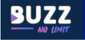 Le logo de Buzz No Limit 