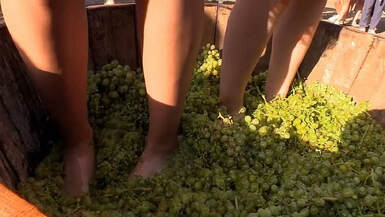 Les raisins écrasés pieds nus au festival du vin de Dilijan 
