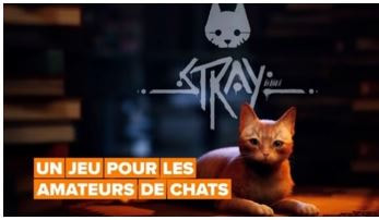 Le chat du jeu Stray 